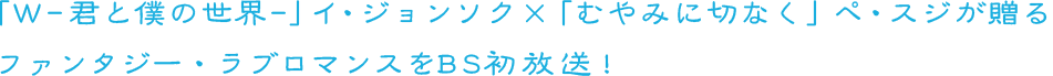 「W -君と僕の世界-」イ・ジョンソク×「むやみに切なく」ペ・スジが贈る
	ファンタジー・ラブロマンスをBS初放送！