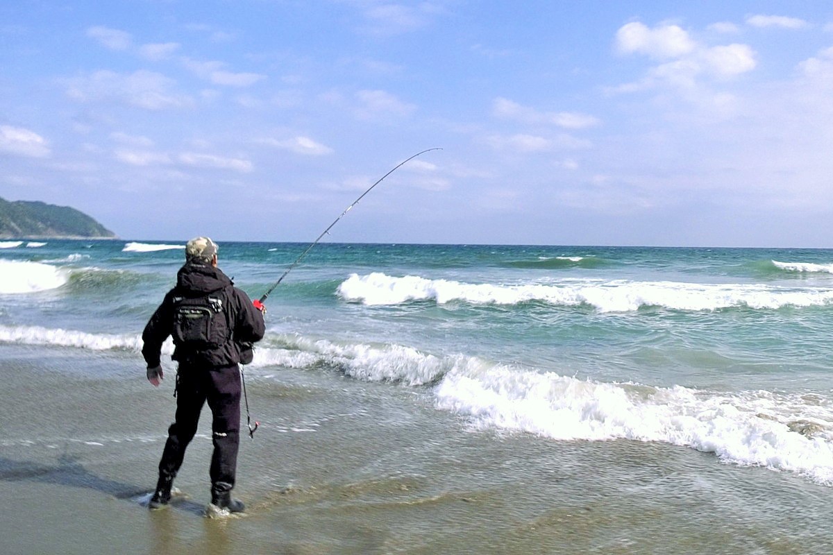 巨大魚 冬の陣 Bsフジ 巨大魚 冬の陣 Bsフジ