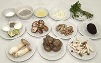 材料