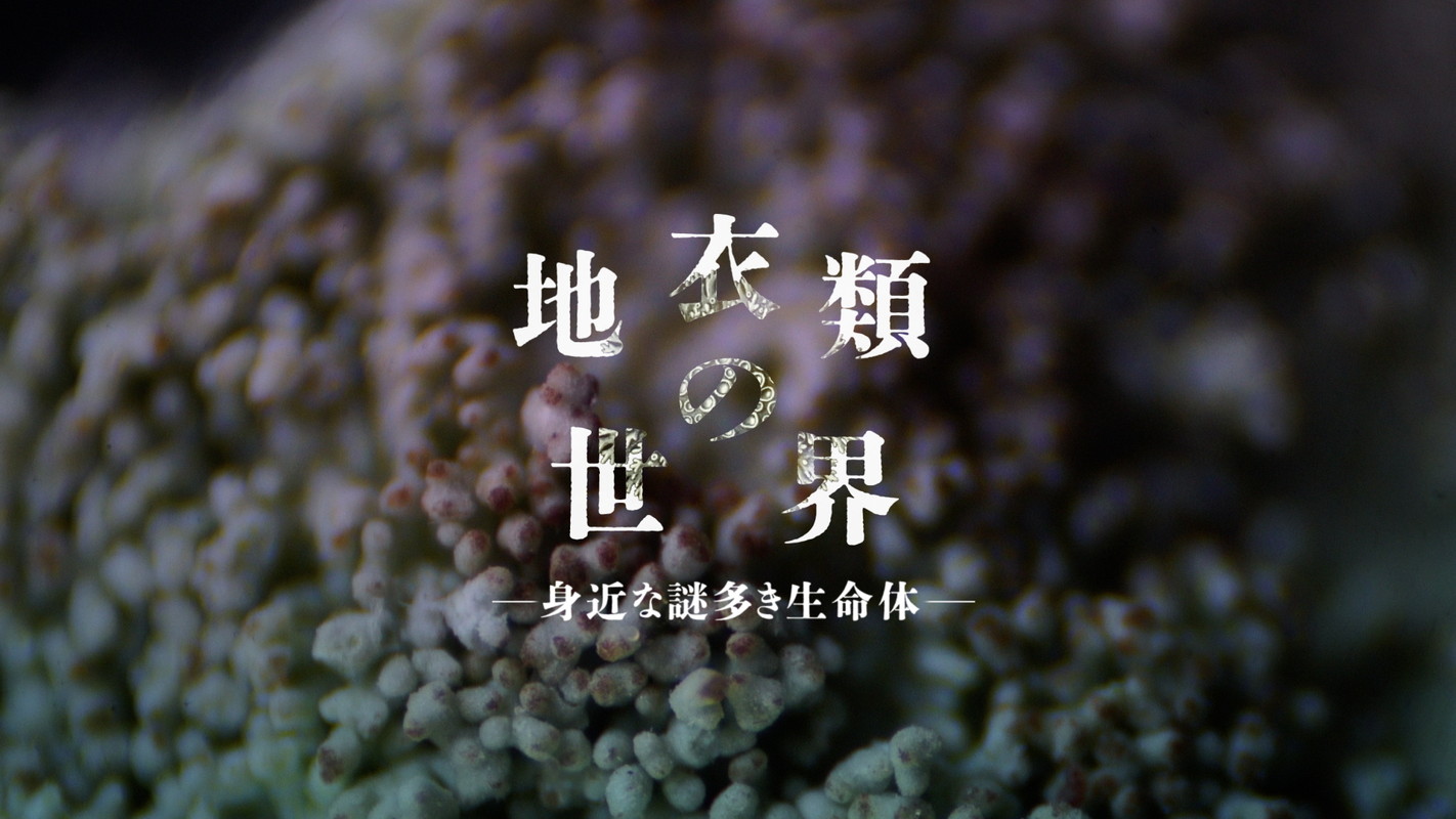 ガリレオX』｜BSフジ