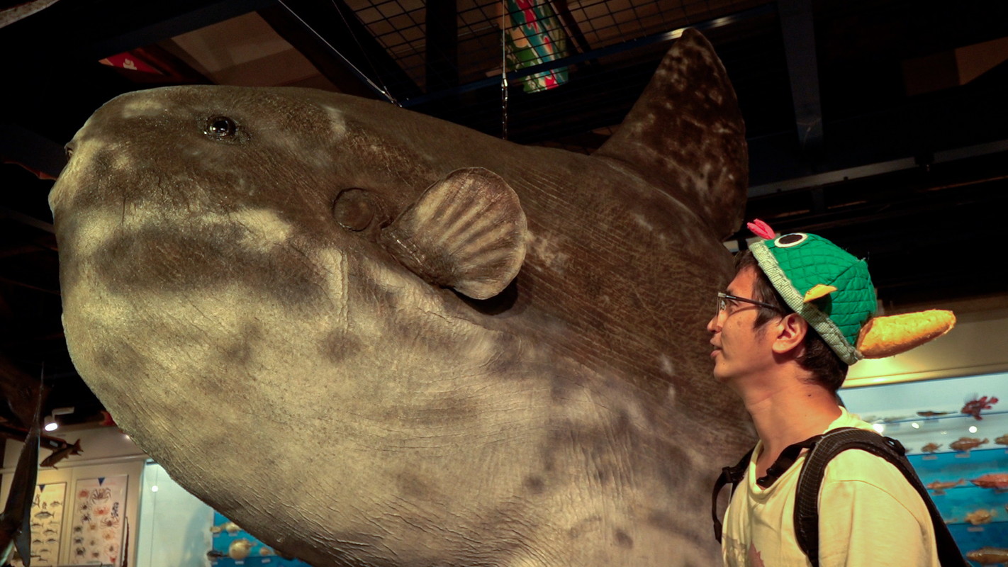 ガリレオX』｜BSフジ