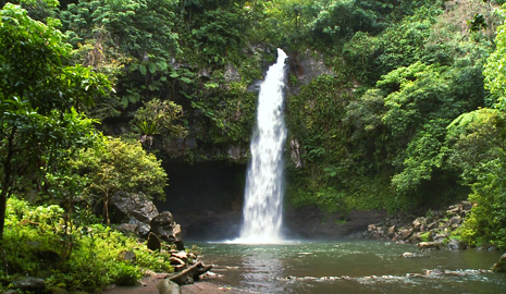 ワールドツアー完璧MAP 写真1