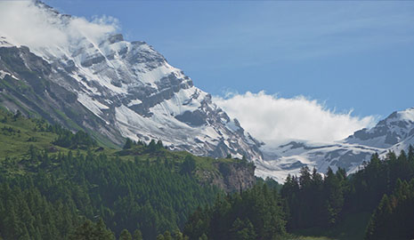 main_01