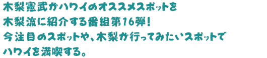 木梨憲武がハワイのオススメスポットを木梨流に紹介する番組第16弾！今注目のスポットや、木梨が行ってみたいスポットでハワイを満喫する。