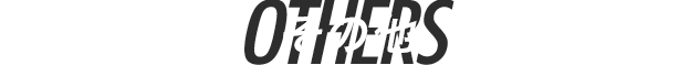 その他