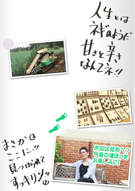 漣楽帳