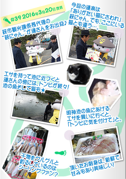 漣楽帳