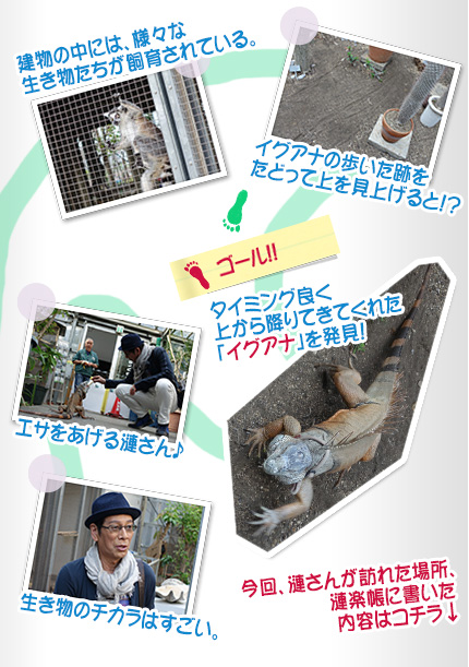漣楽帳