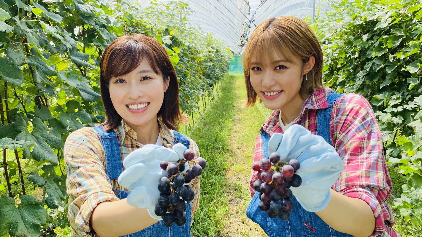 わがまま！気まま！旅気分』｜BSフジ