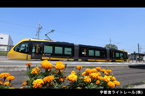 slider_image2